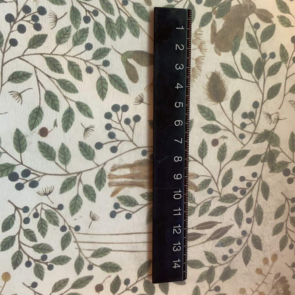 Muji Black ruler